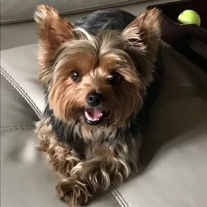 Meet your Posher, Laurie